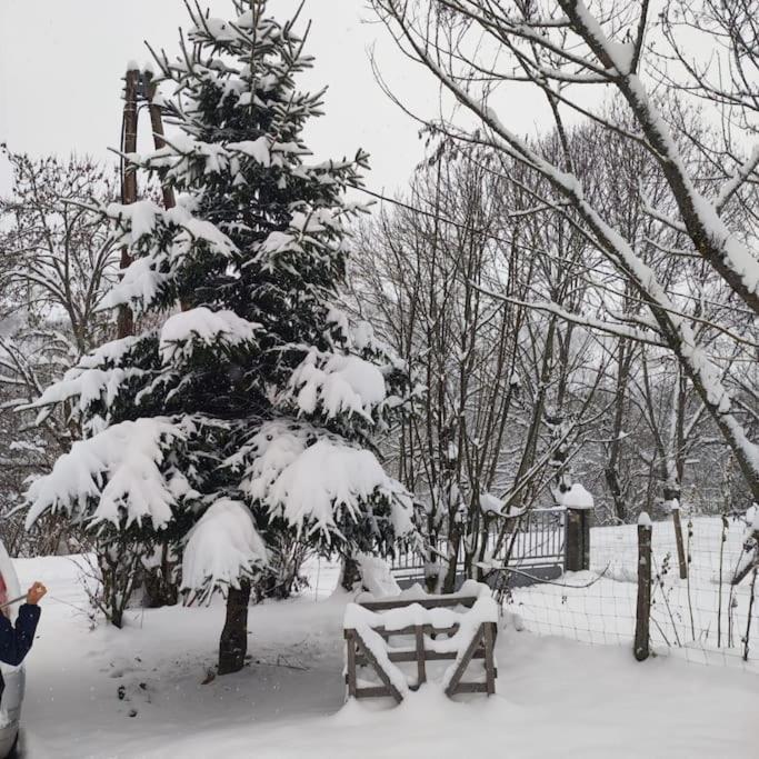 Maison De Montagne Au Calme Avec Cheminee Poubeau Exterior foto